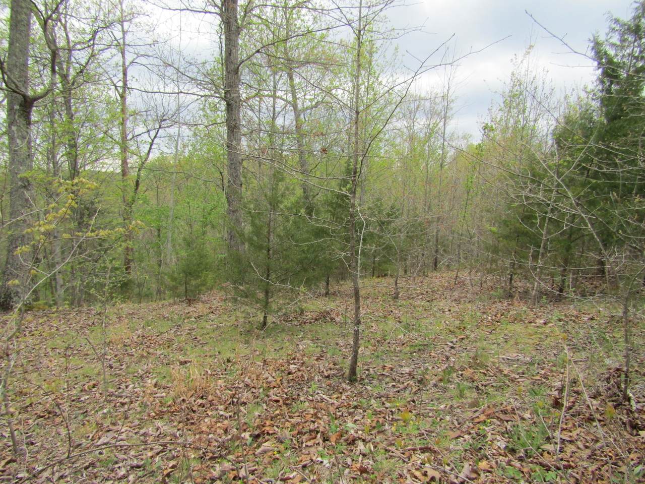 0 James White Road - Photo 1