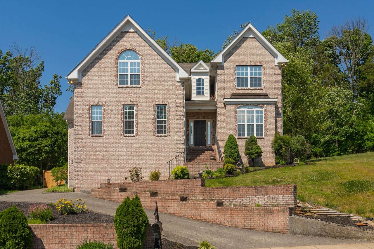 134 Ridgeview Trce - Photo 1