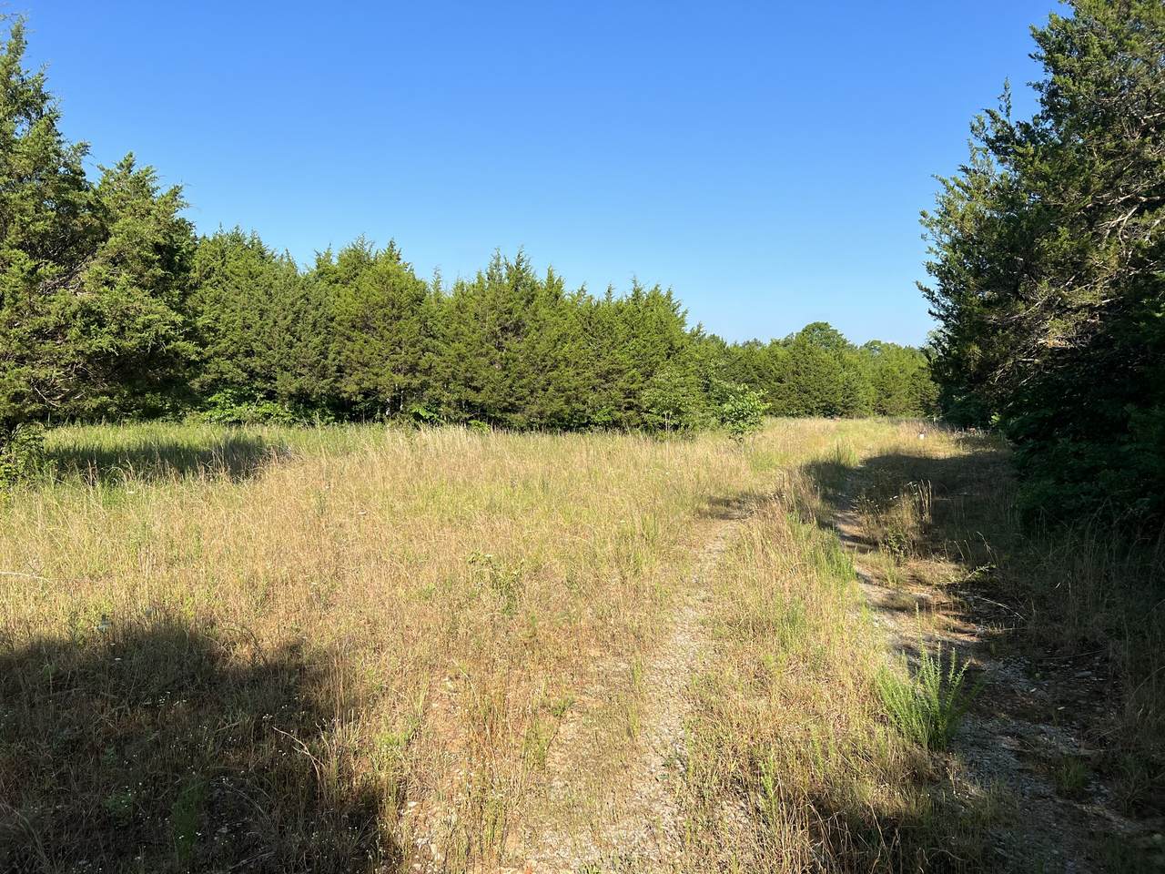 12840 Mount Pleasant Rd - Photo 1