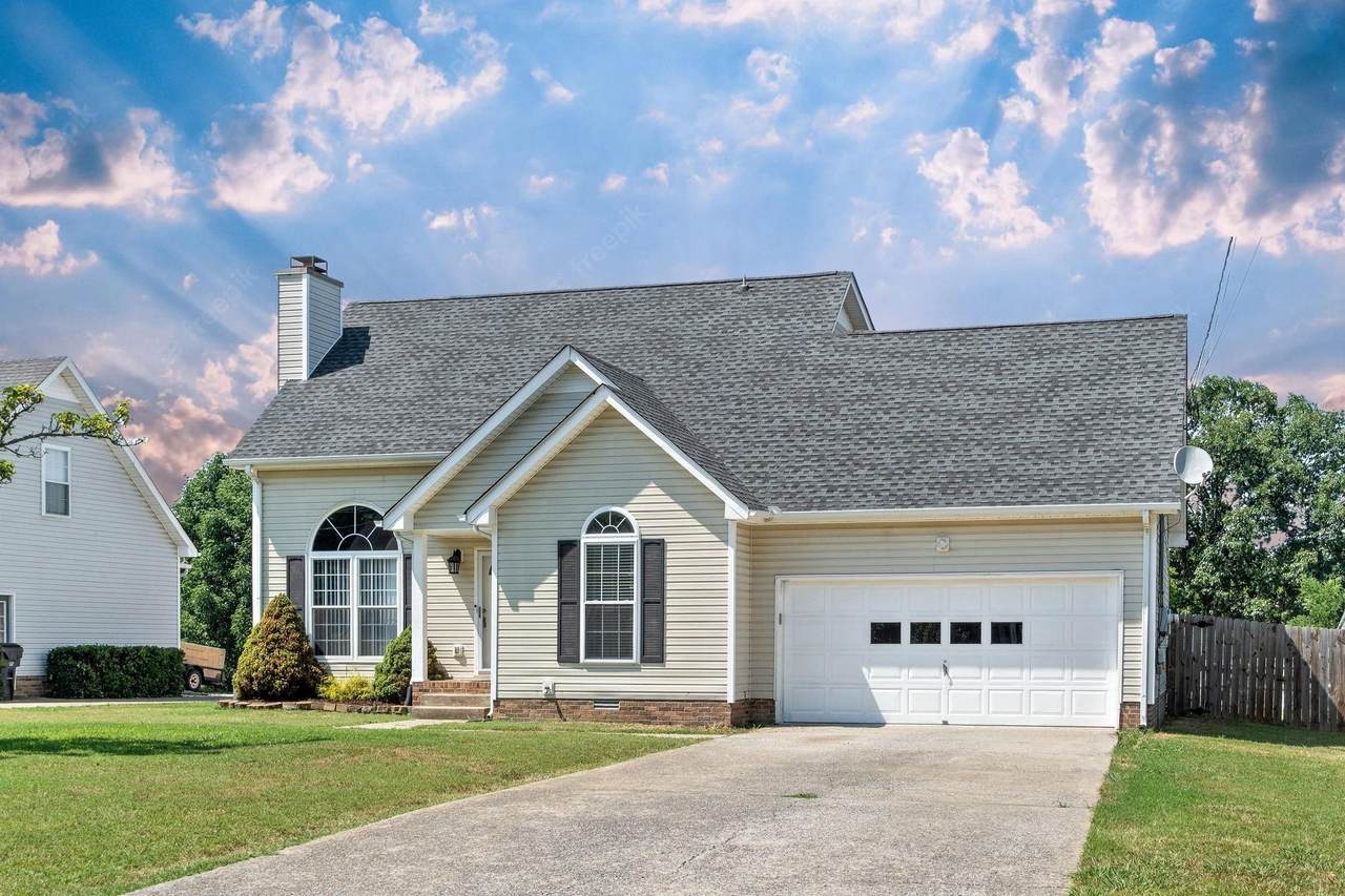 1005 Roedeer Dr - Photo 1