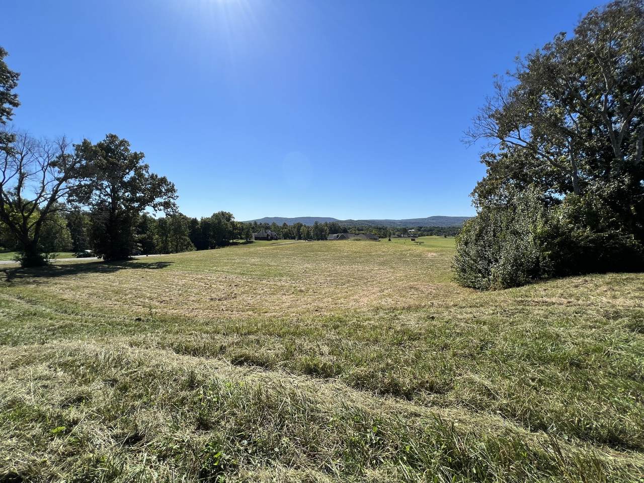 52 Collins Run - Photo 1