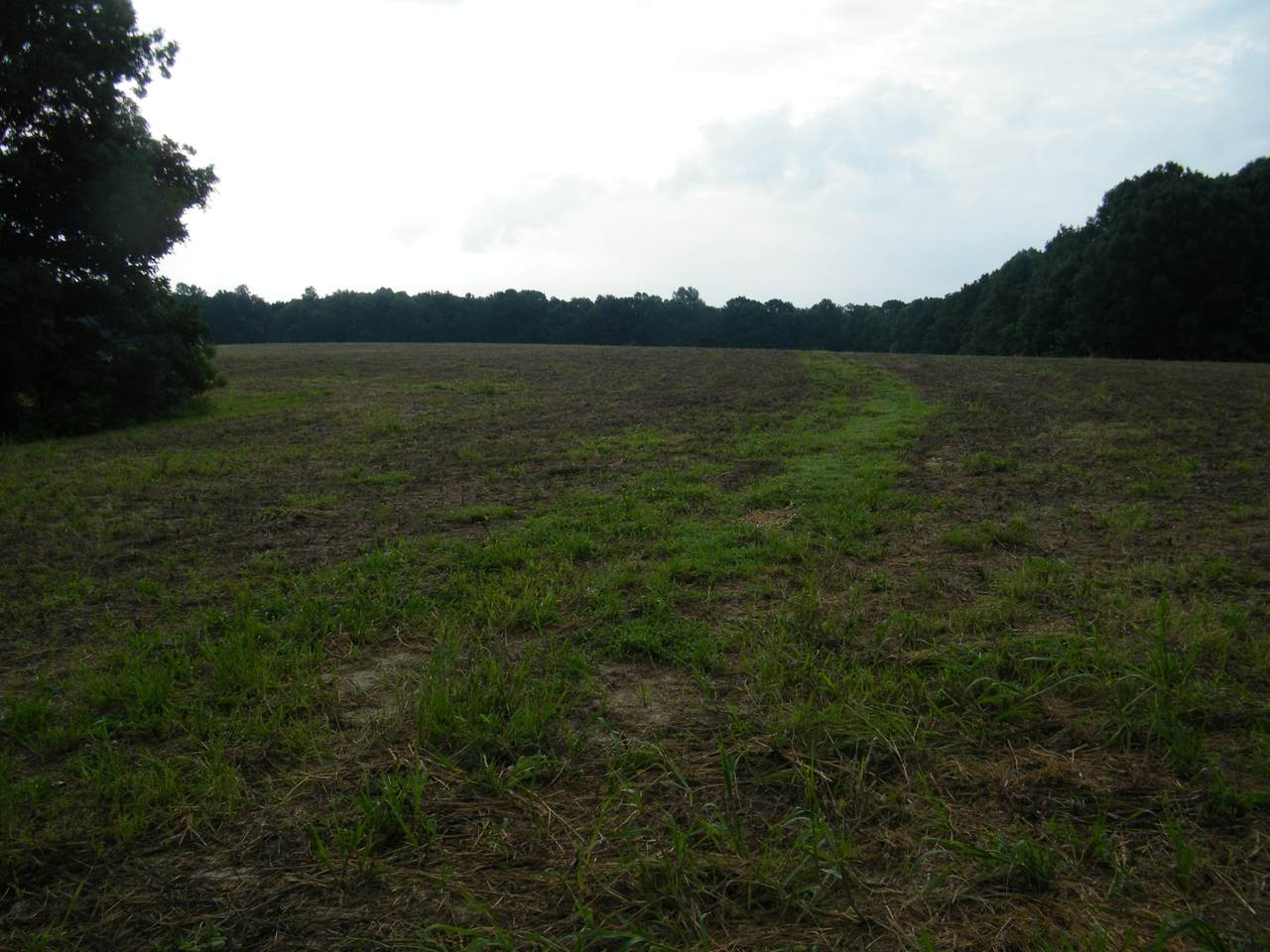 0 Tilford Lane - Photo 1