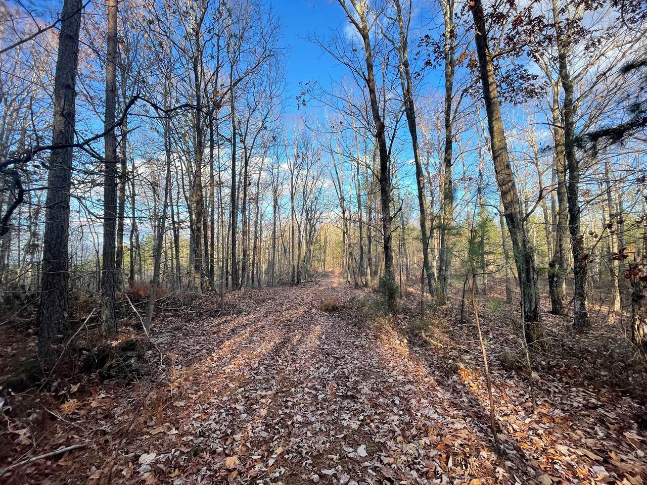 0 Aetna Cemetery Rd - Photo 1