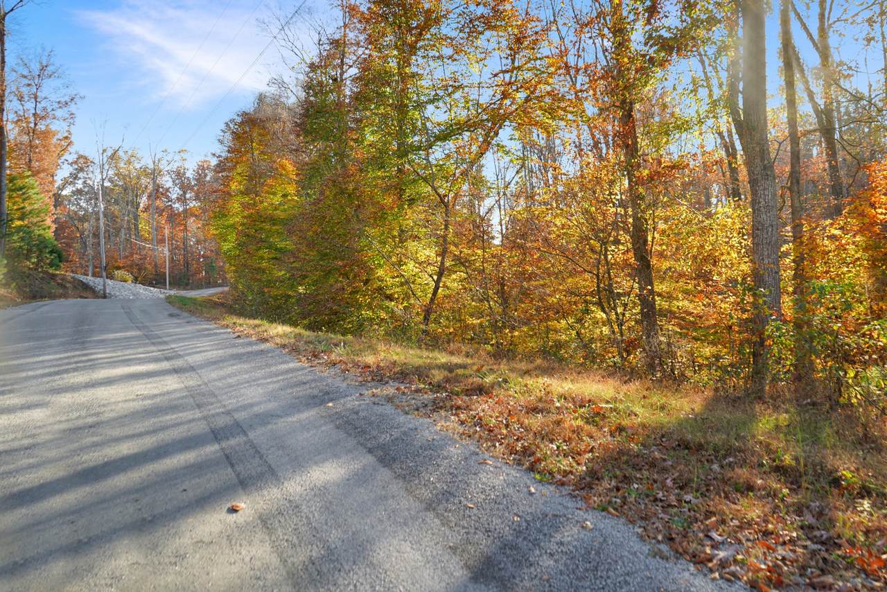 19 Autumn Trail - Photo 1