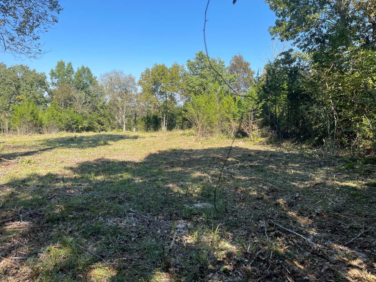 2120 Paradise Drive - Photo 1