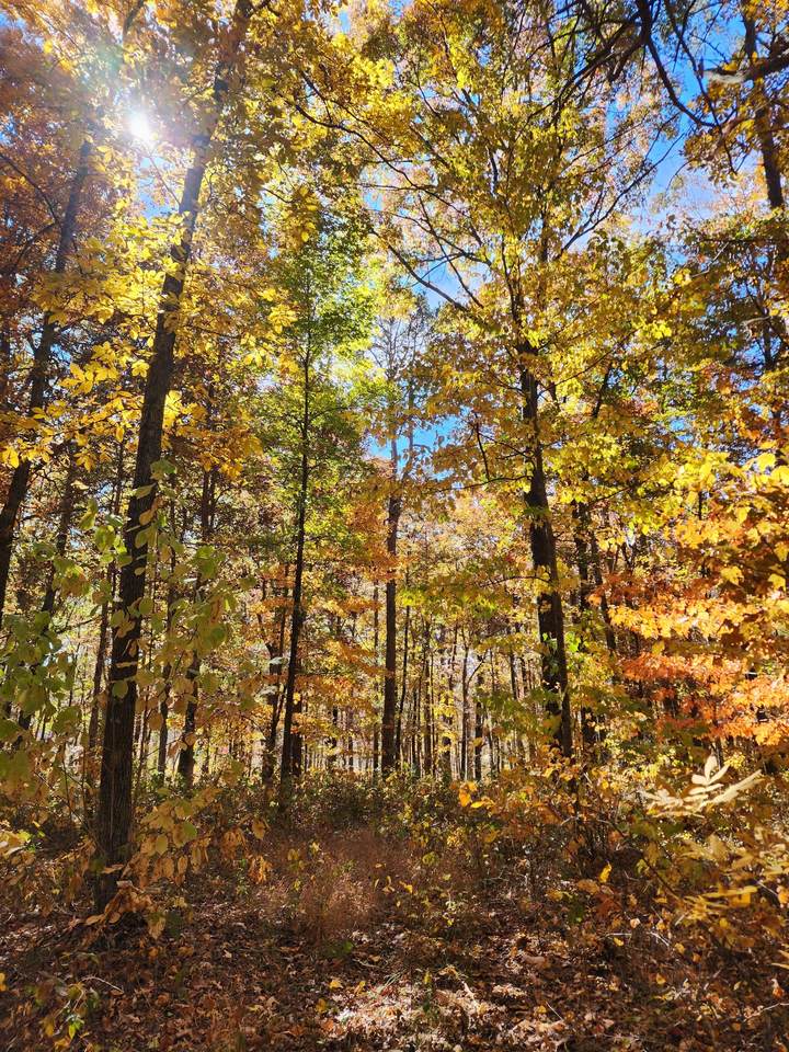 3 Browns Hollow Rd - Photo 1