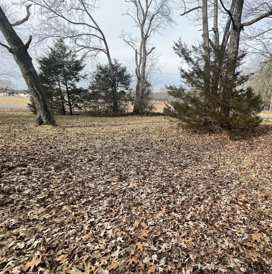1228 Butler Bridge Rd - Photo 1