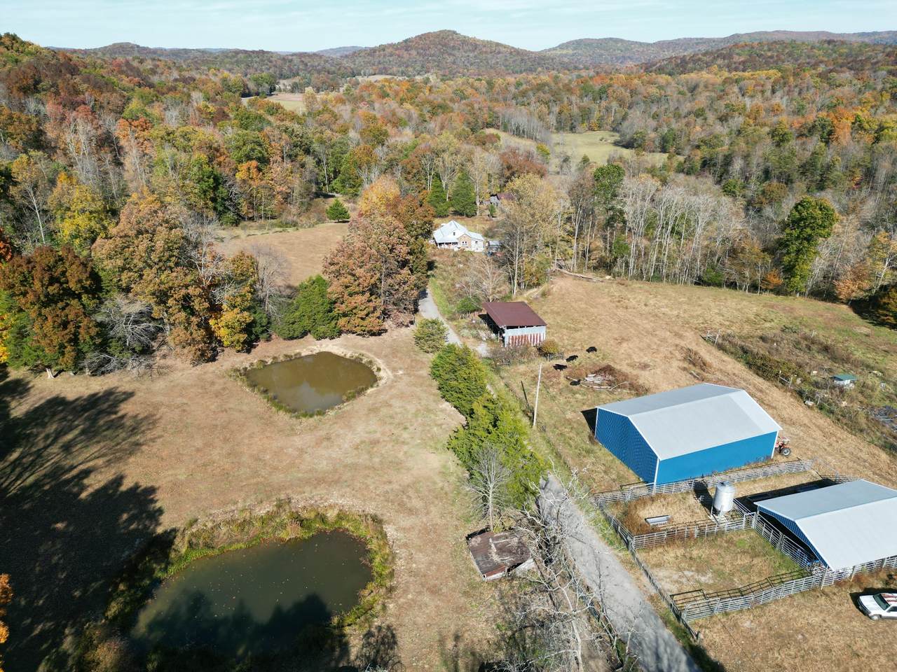 1239 Walker Hollow Rd - Photo 1