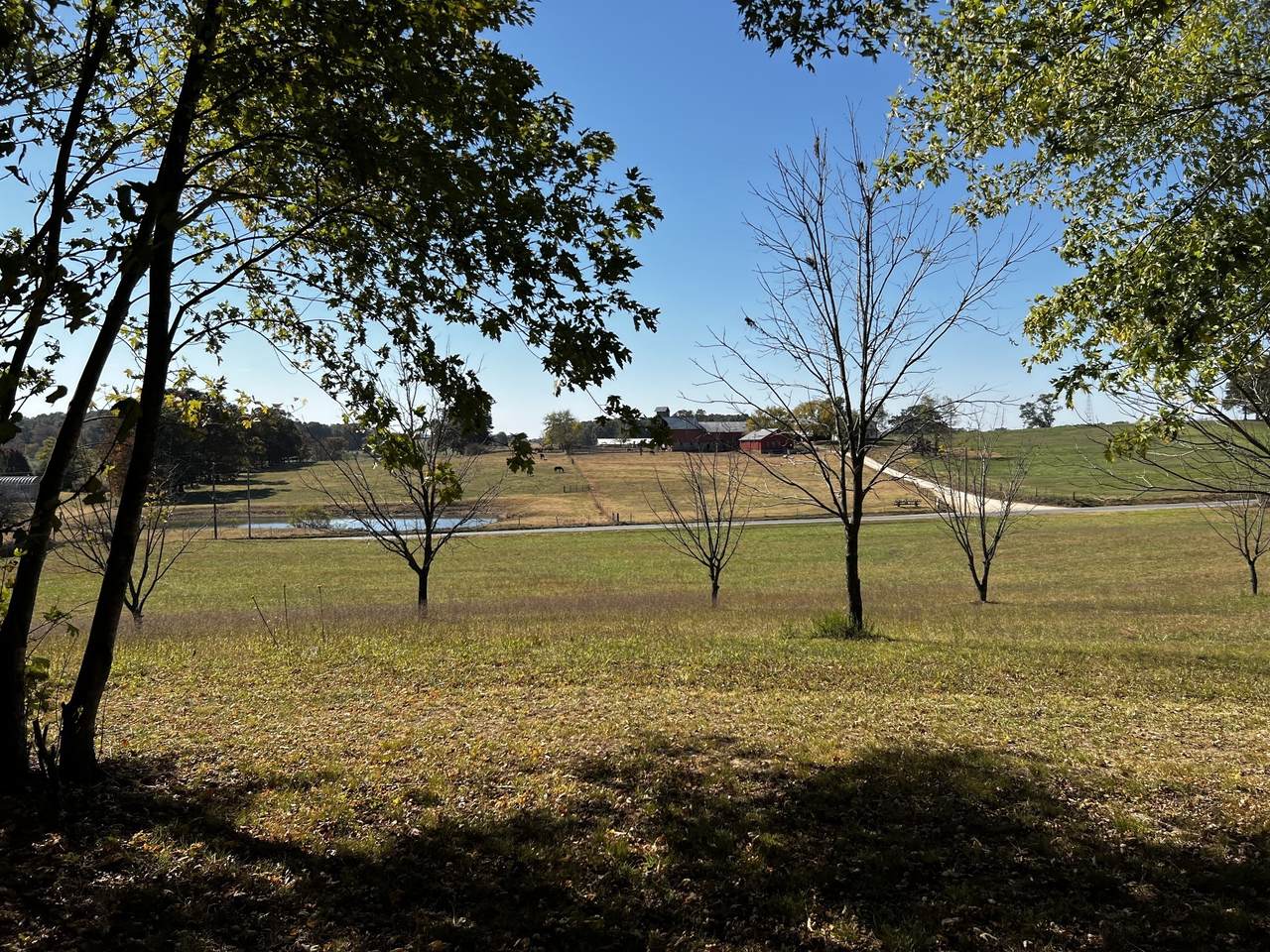 132 Bridy Rd - Photo 1