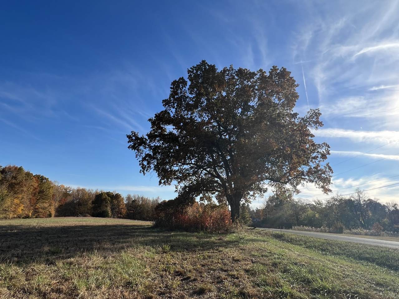 1 Cooper Creek Rd - Photo 1