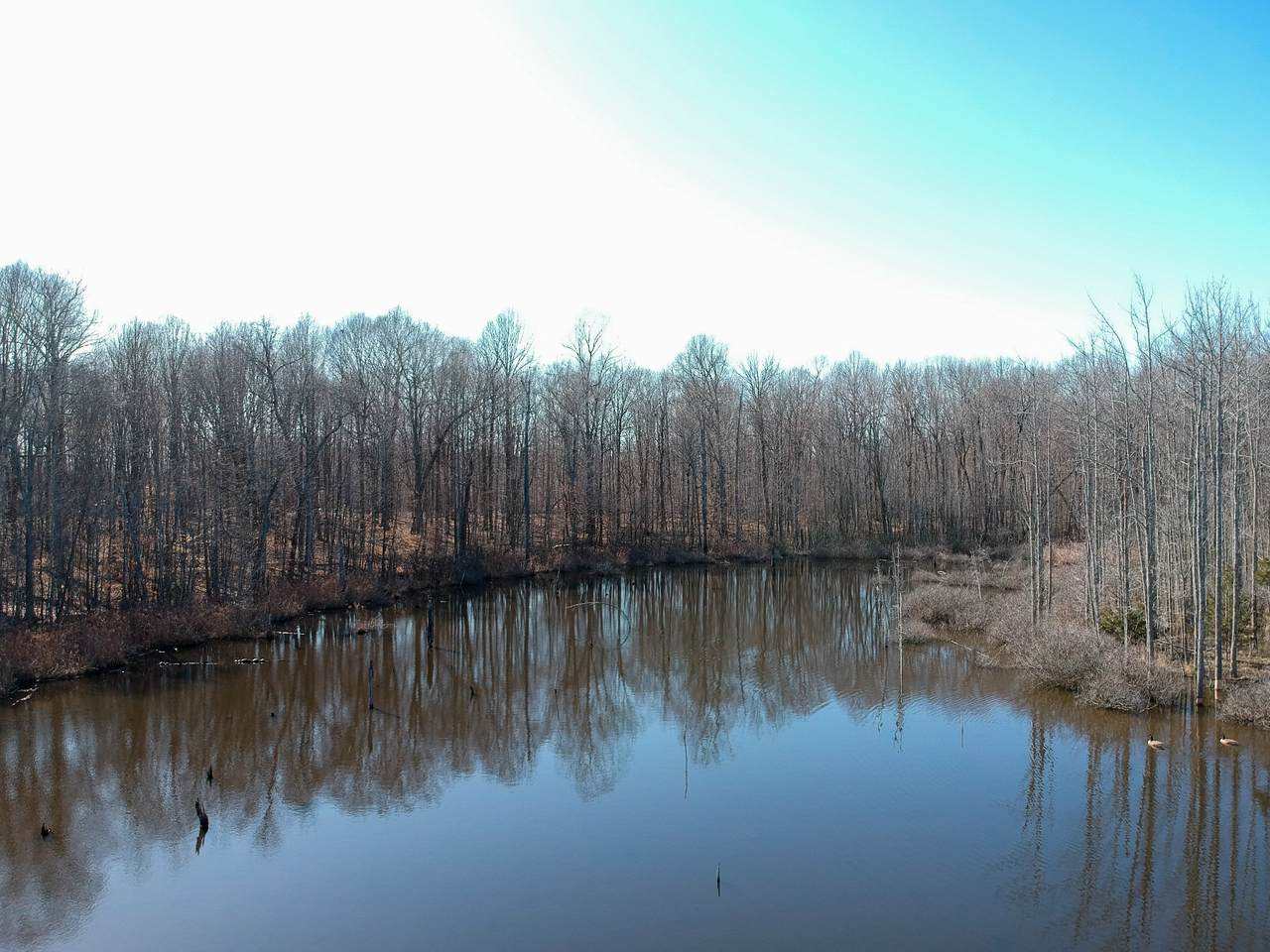 7956B Bethlehem Rd - Photo 1