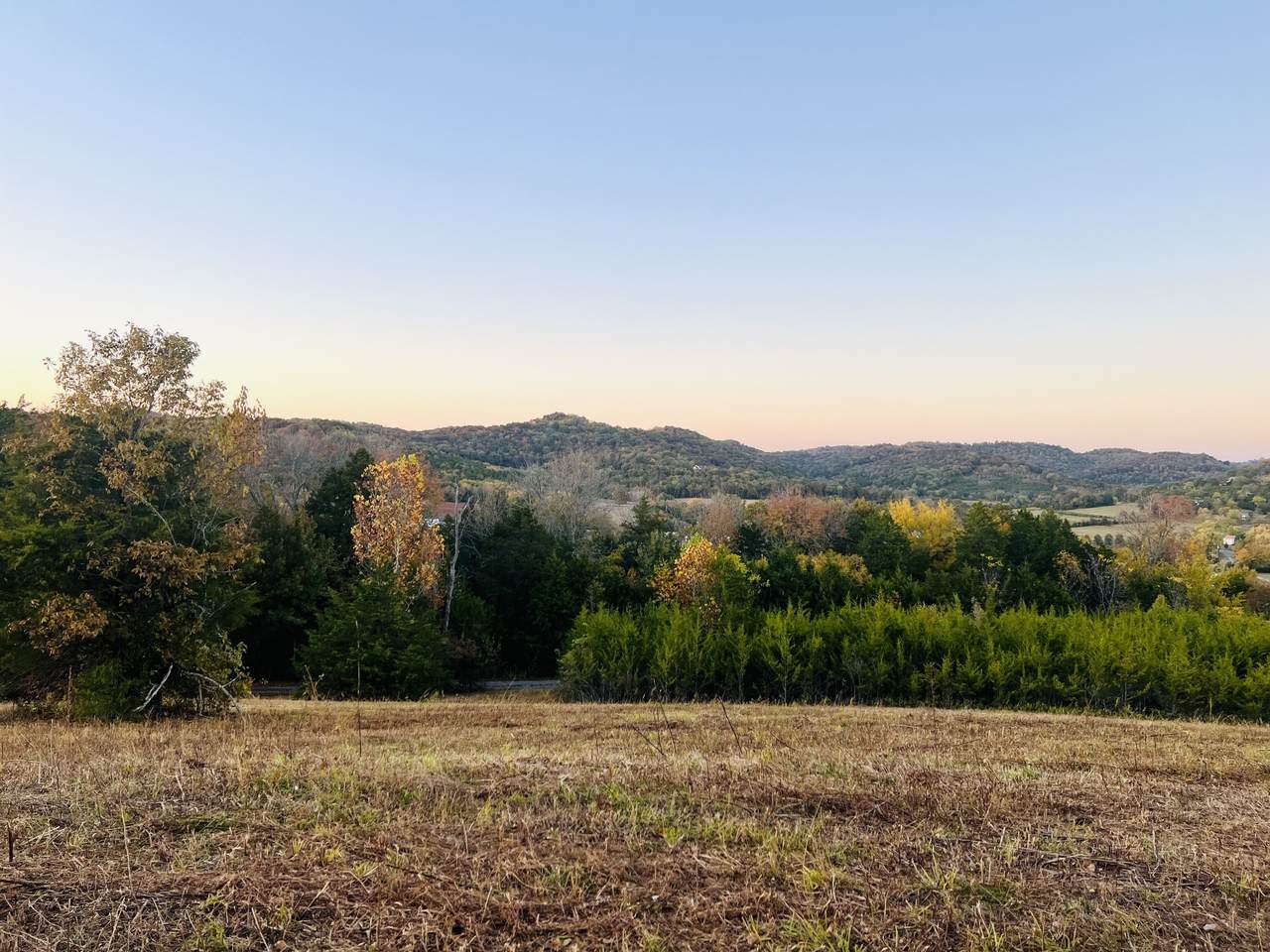 0 Hoover Mill Rd. - Photo 1