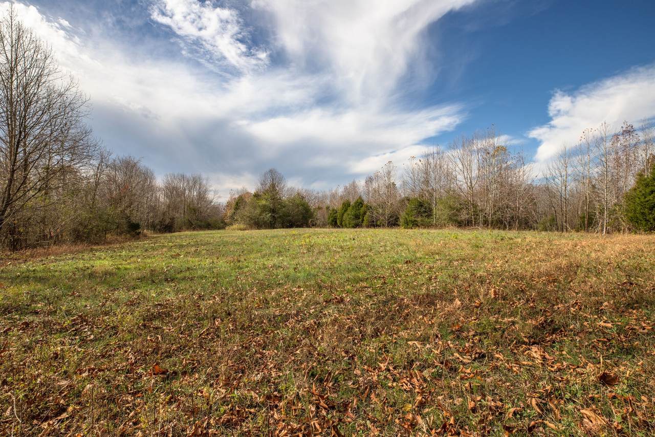 0 Hershel Hagewood Rd - Photo 1