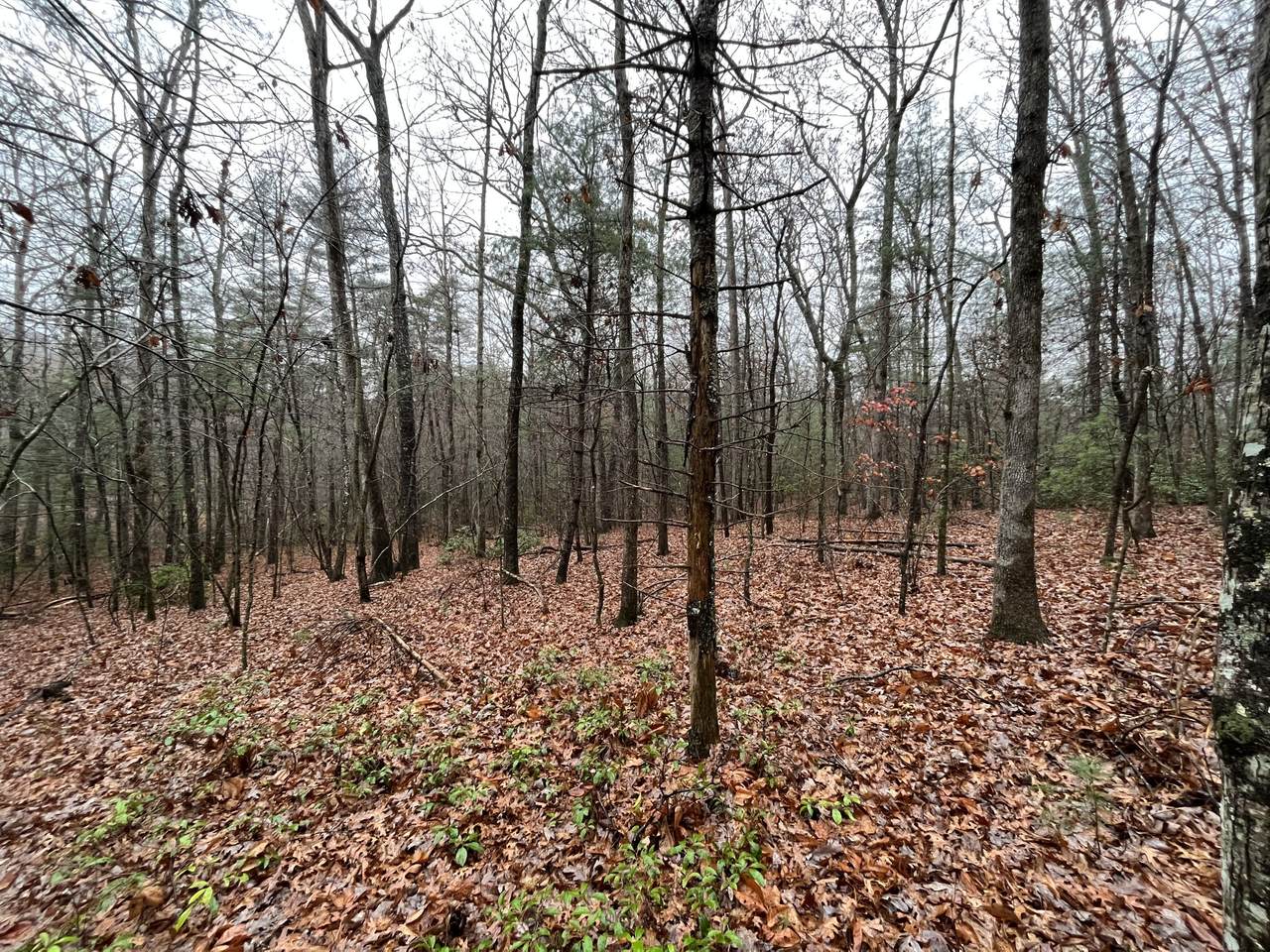 0 Rocky Point - Photo 1
