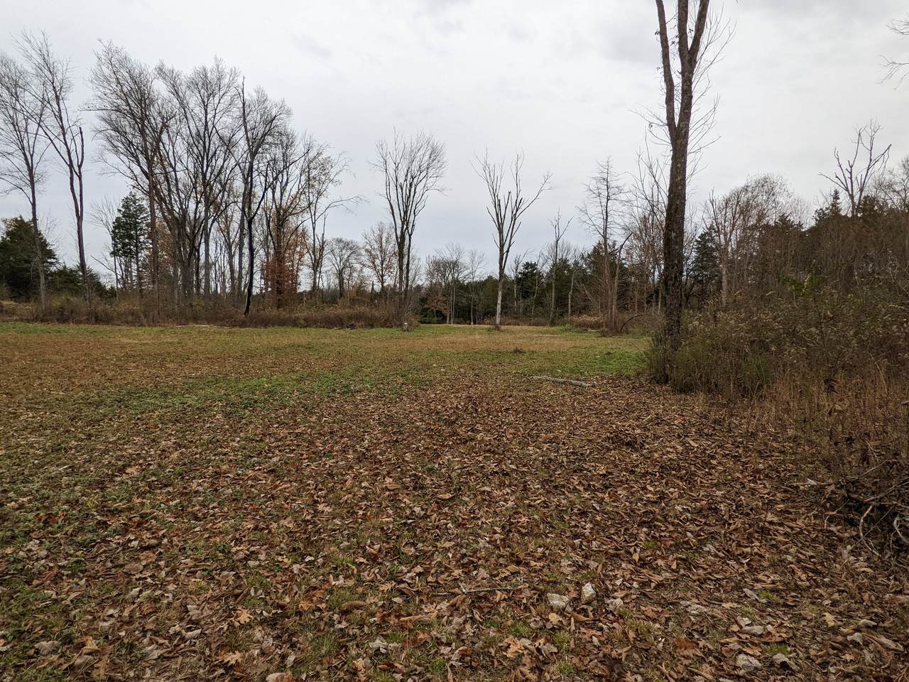 4424 Winns Crossing Rd - Photo 1