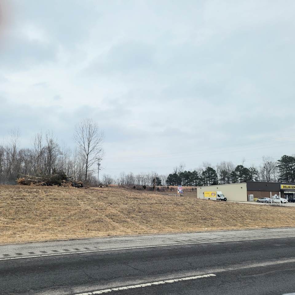 0 Nashville Hwy - Photo 1