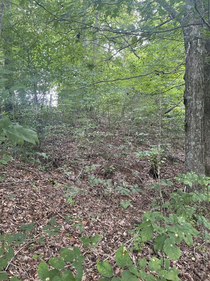 0 Hwy 52 Bypass West - Photo 1