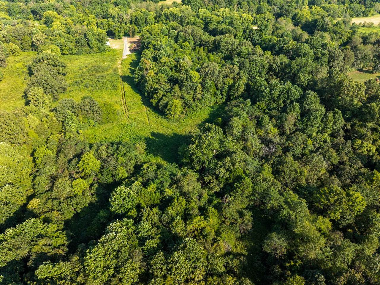 0 Shelter Branch Road - Photo 1