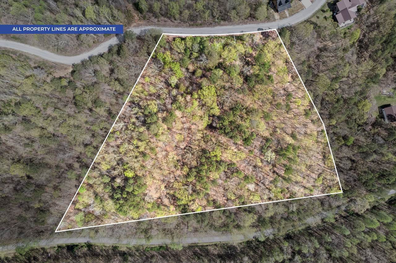 81 Crest Ct - Photo 1