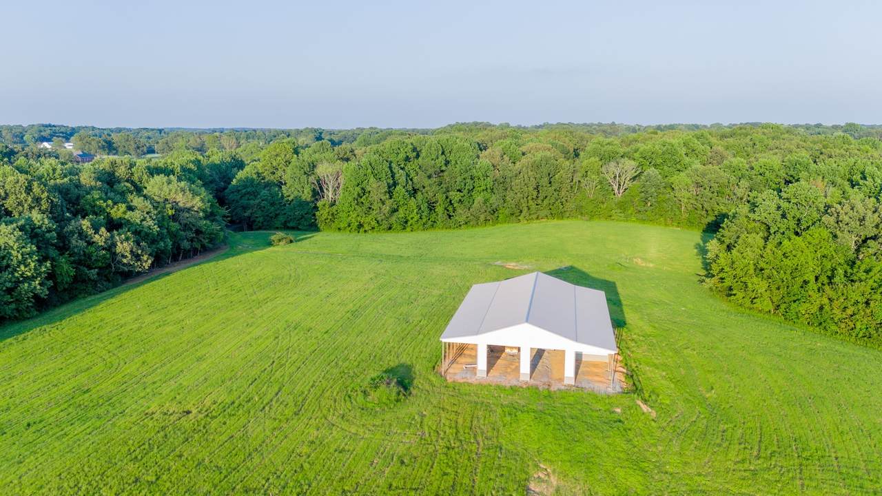 4049 Hwy 31W - Photo 1