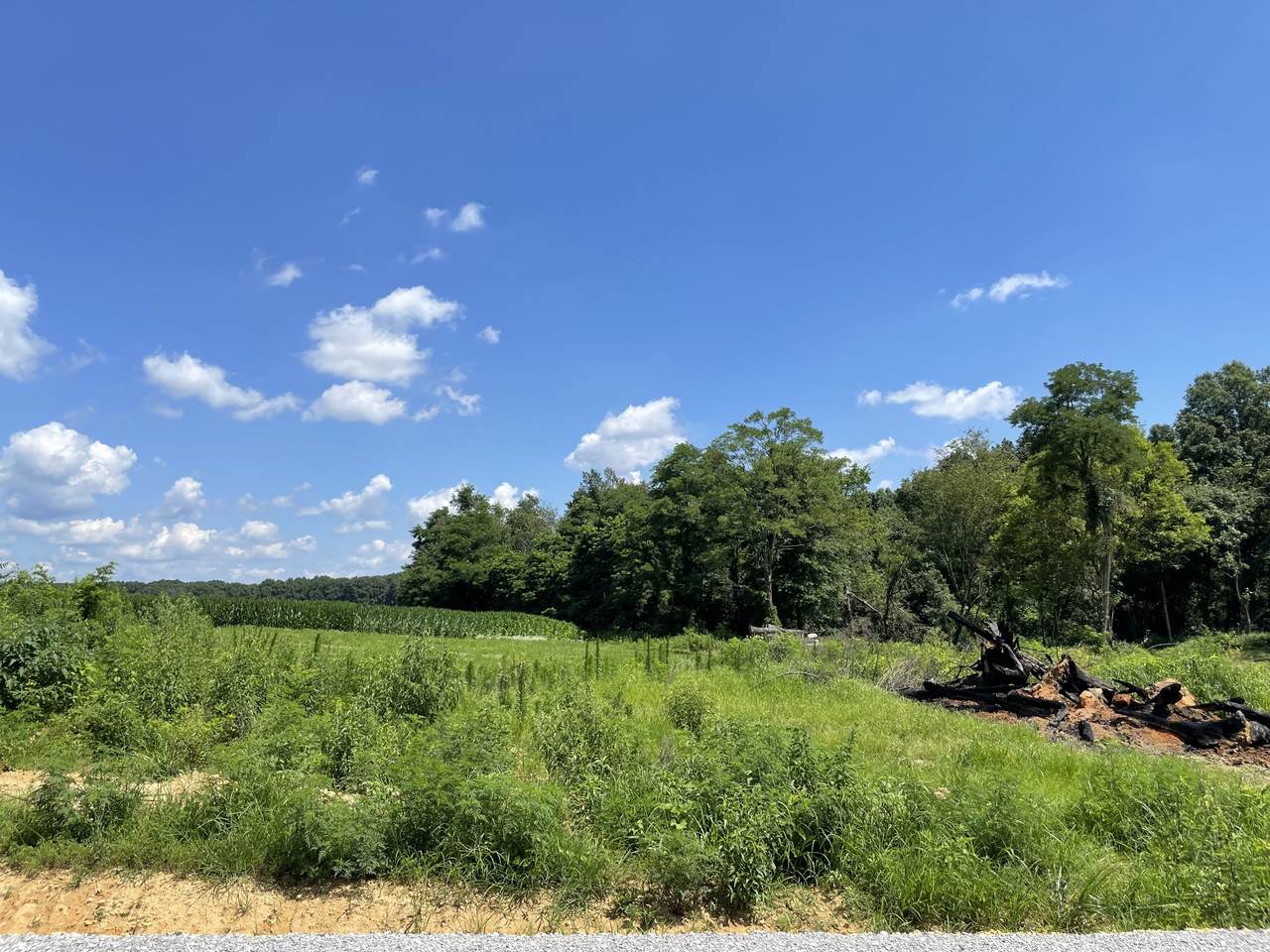 0 Hidden Hills Lane - Photo 1