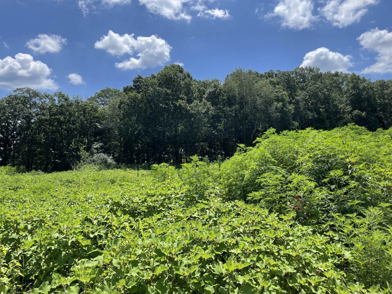 0 Hidden Hills Lane - Photo 1