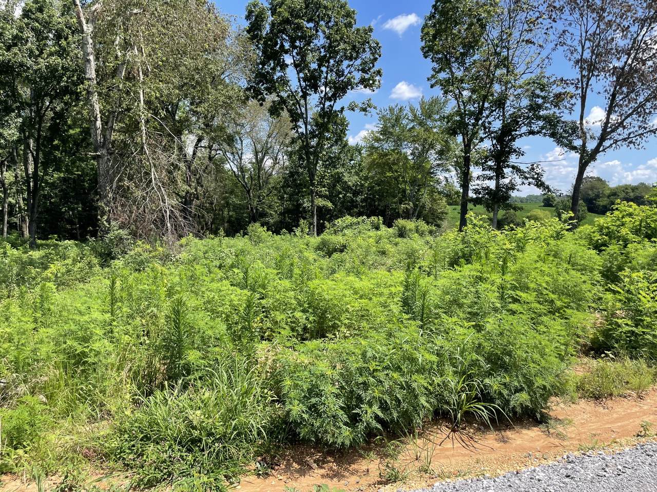 0 Hidden Hills Lane - Photo 1