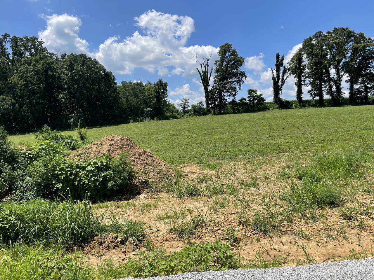 0 Hidden Hills Lane - Photo 1