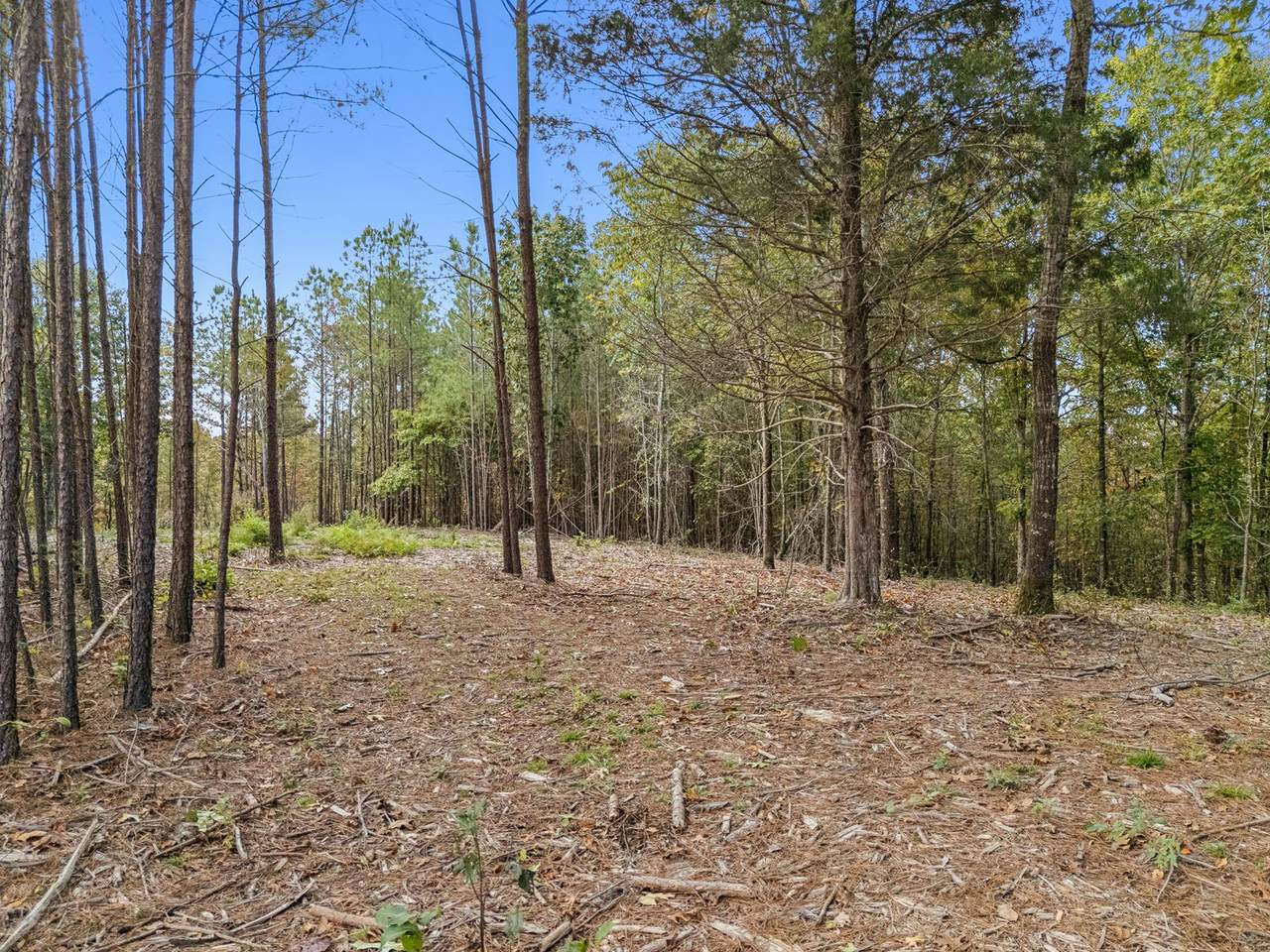 0 Old Mail Road - Photo 1