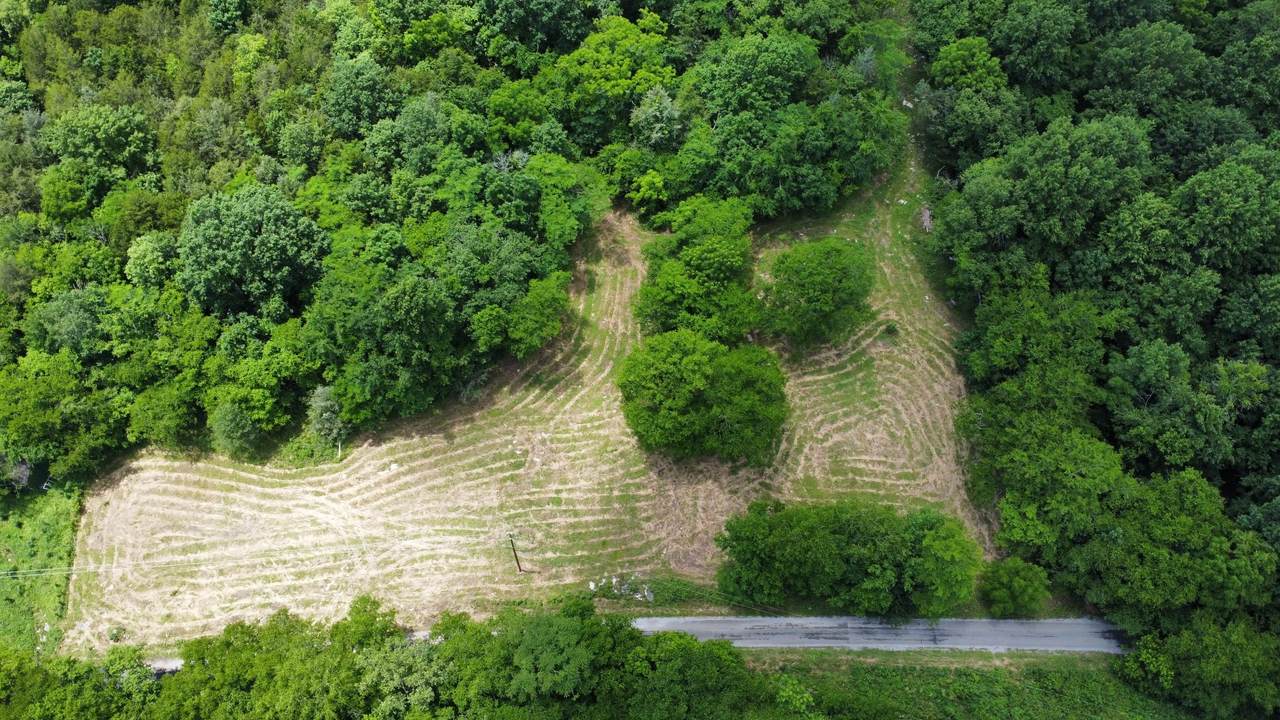 1790 Tolbert Hollow Rd - Photo 1