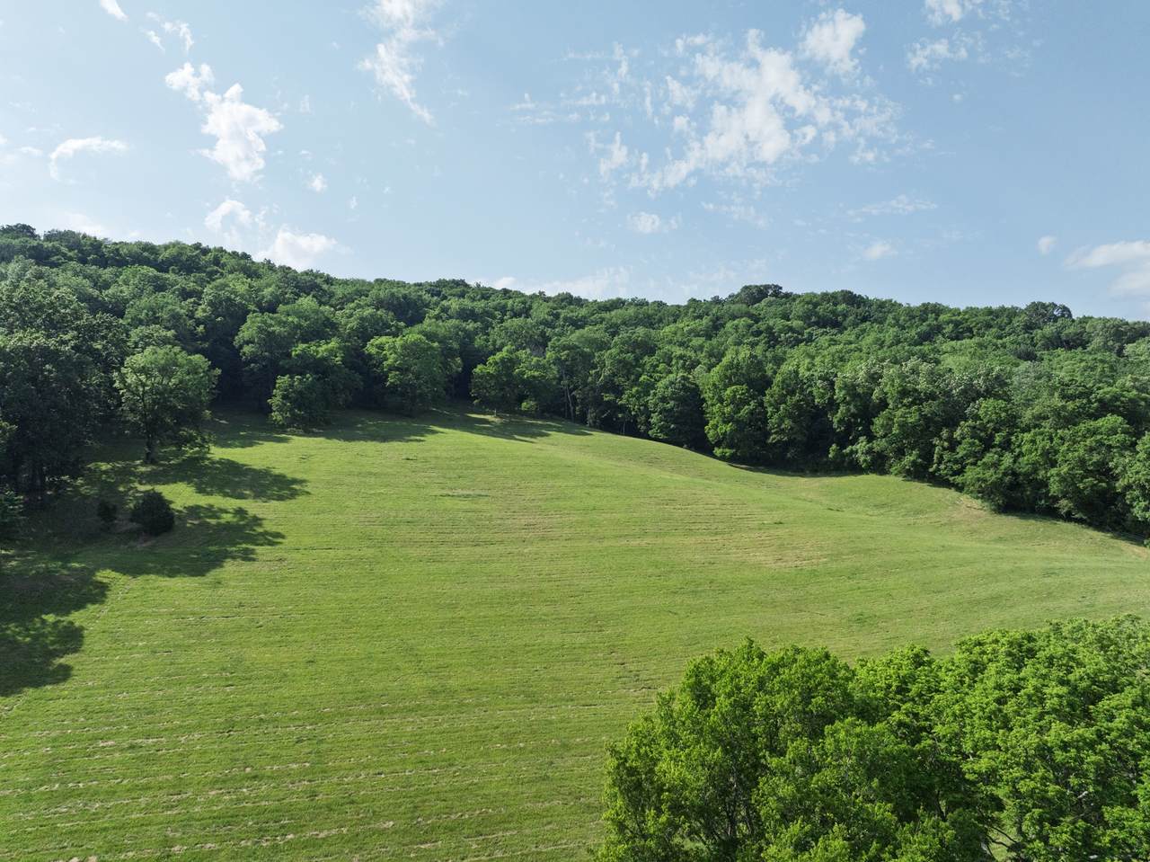 0 Hillsboro Rd - Photo 1