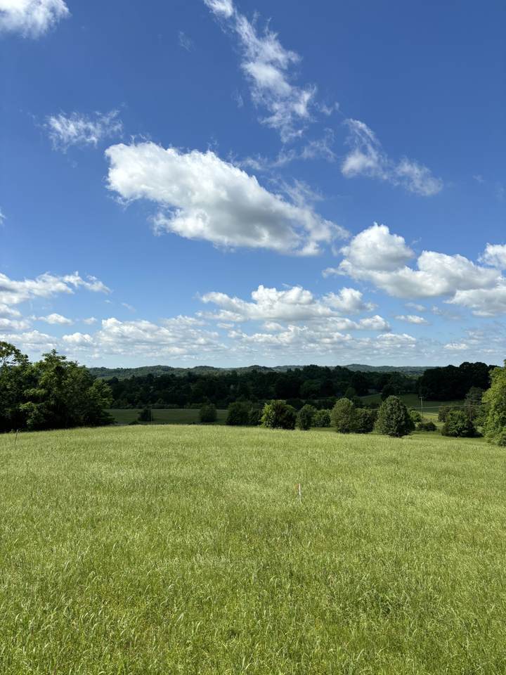 1091 Bugscuffle Rd - Photo 1