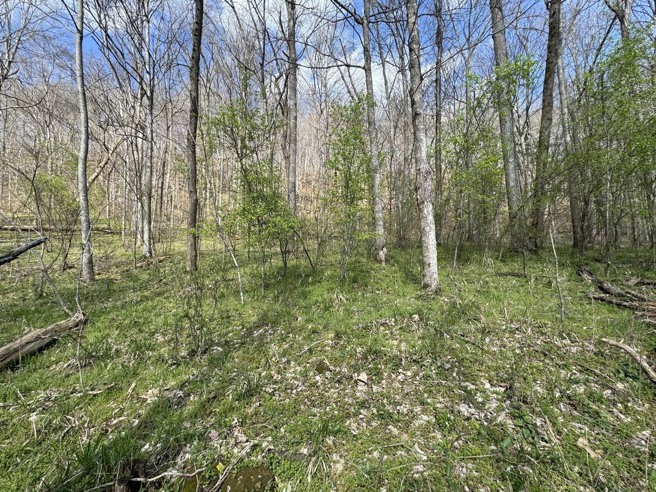 0 Lake View Drive - Photo 1