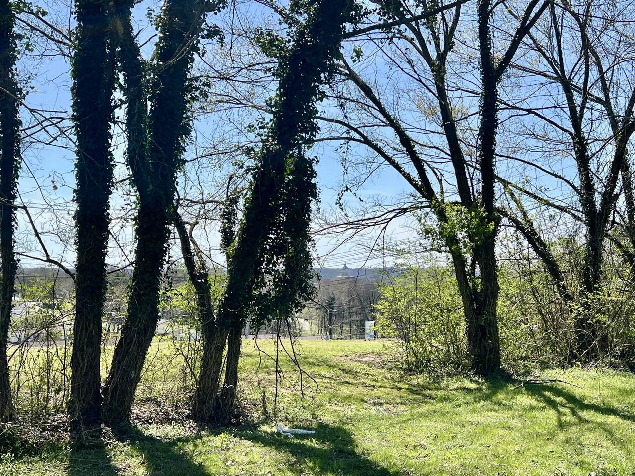 0 Lewisburg Highway - Photo 1