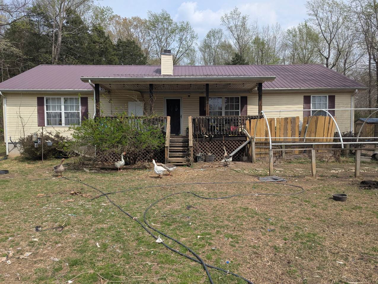 https://bt-photos.global.ssl.fastly.net/nashville/1280_boomver_2_RTC2817756-1.jpg