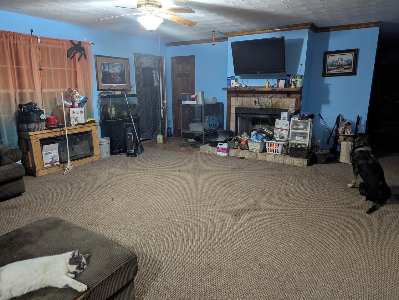 https://bt-photos.global.ssl.fastly.net/nashville/1280_boomver_2_RTC2817756-1.jpg