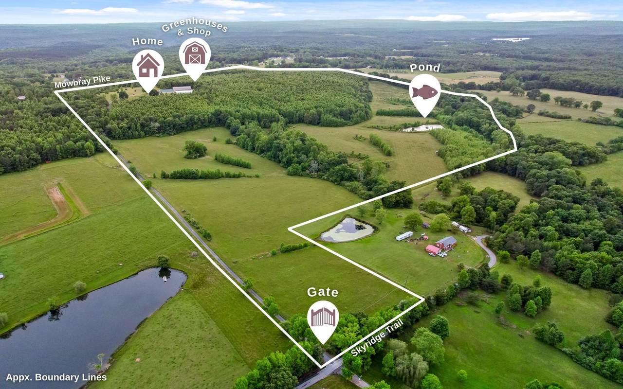 10600 Skyridge Trail - Photo 1