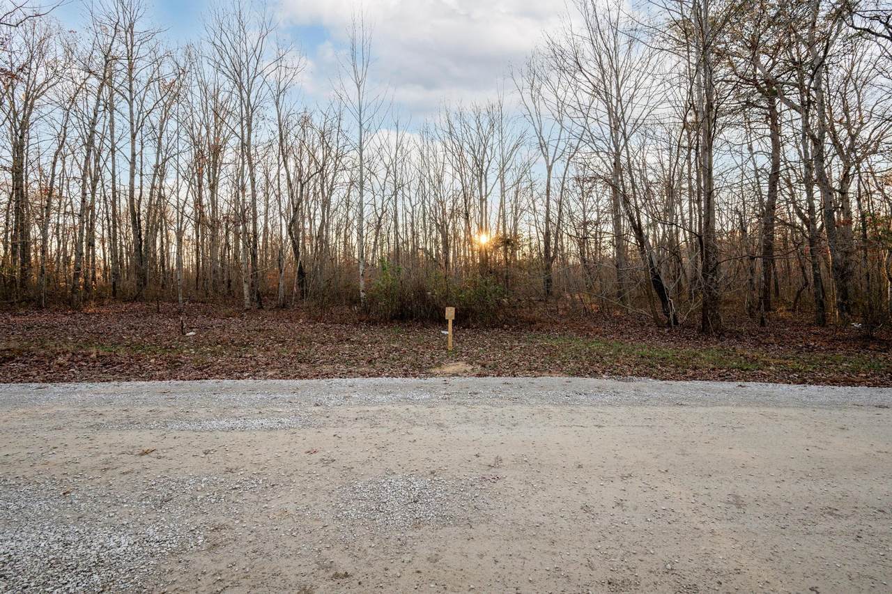 177 Sunset Bluff Way - Photo 1