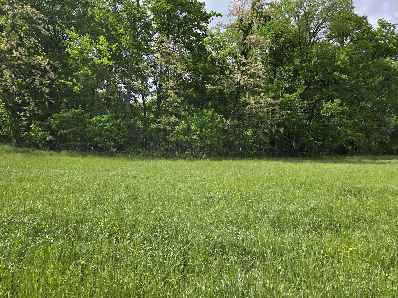 6 Dickens Hill Rd - Photo 1