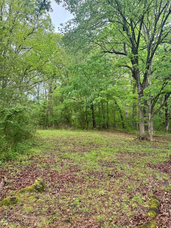 https://bt-photos.global.ssl.fastly.net/nashville/1280_boomver_2_RTC2822785-1.jpg