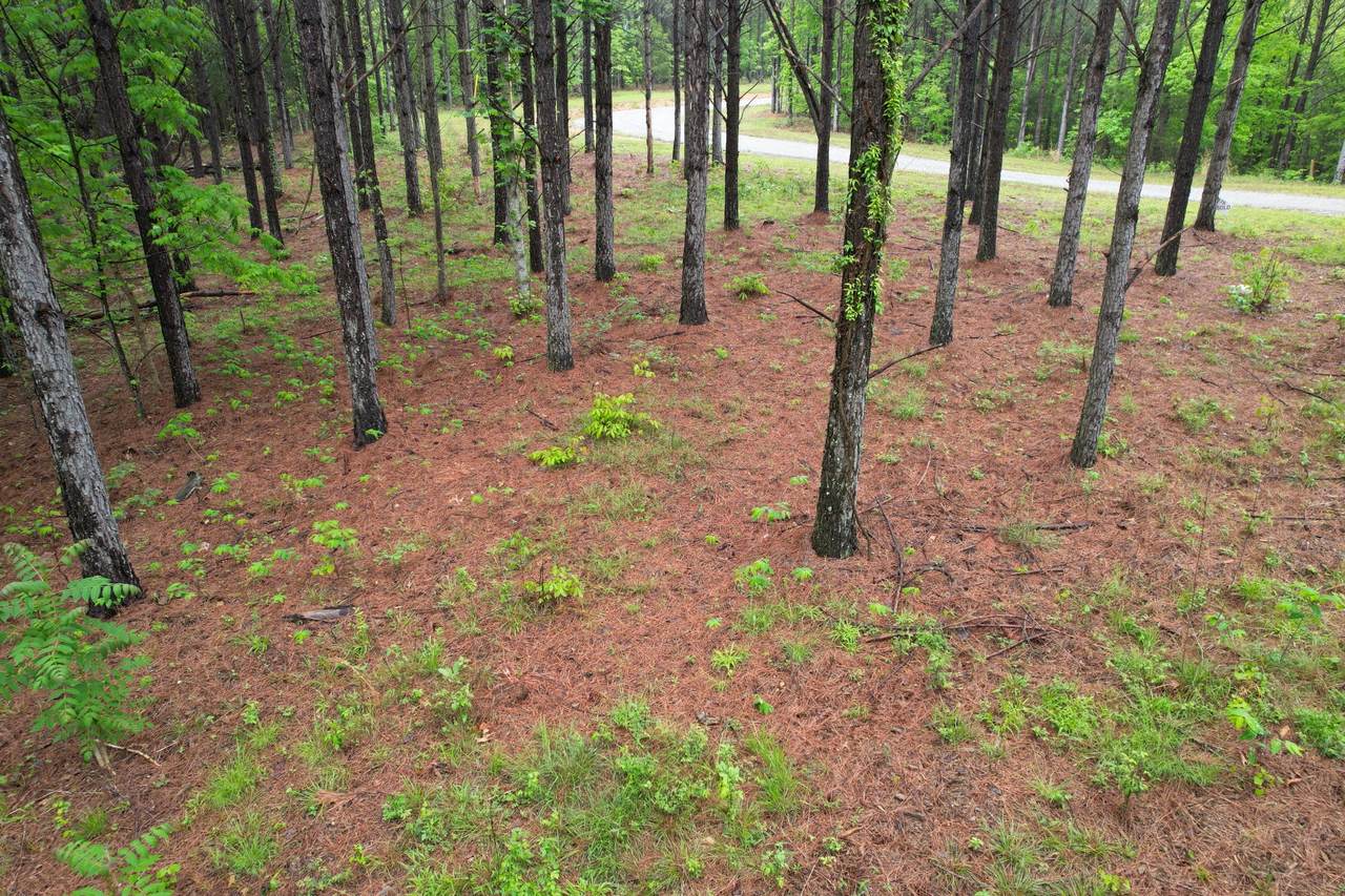 628 Starlight Dr - Photo 1