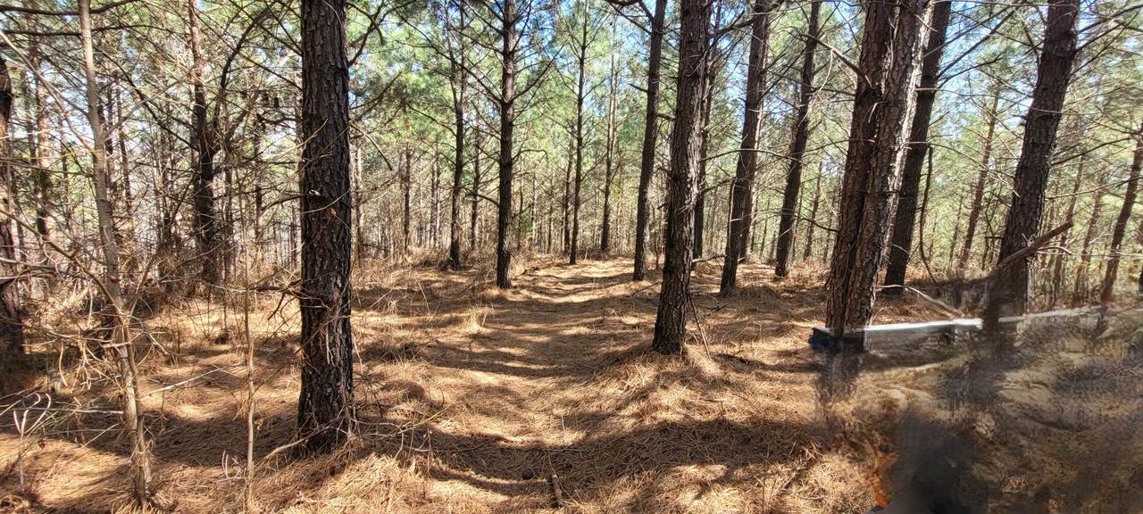 1 Saddleback Dr - Photo 1