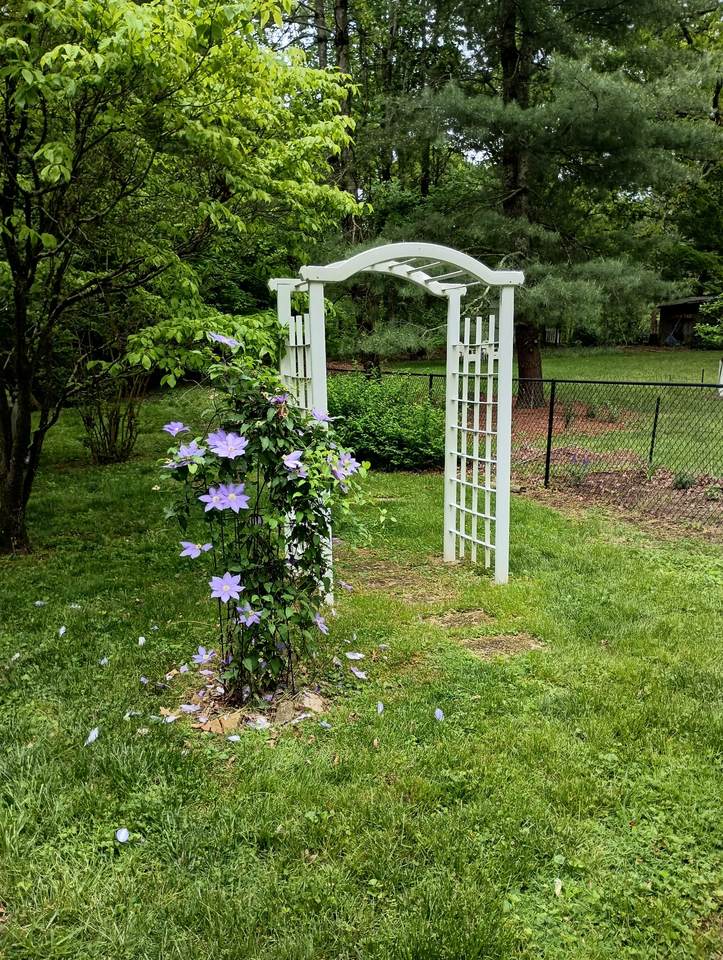 https://bt-photos.global.ssl.fastly.net/nashville/1280_boomver_2_RTC2866350-1.jpg