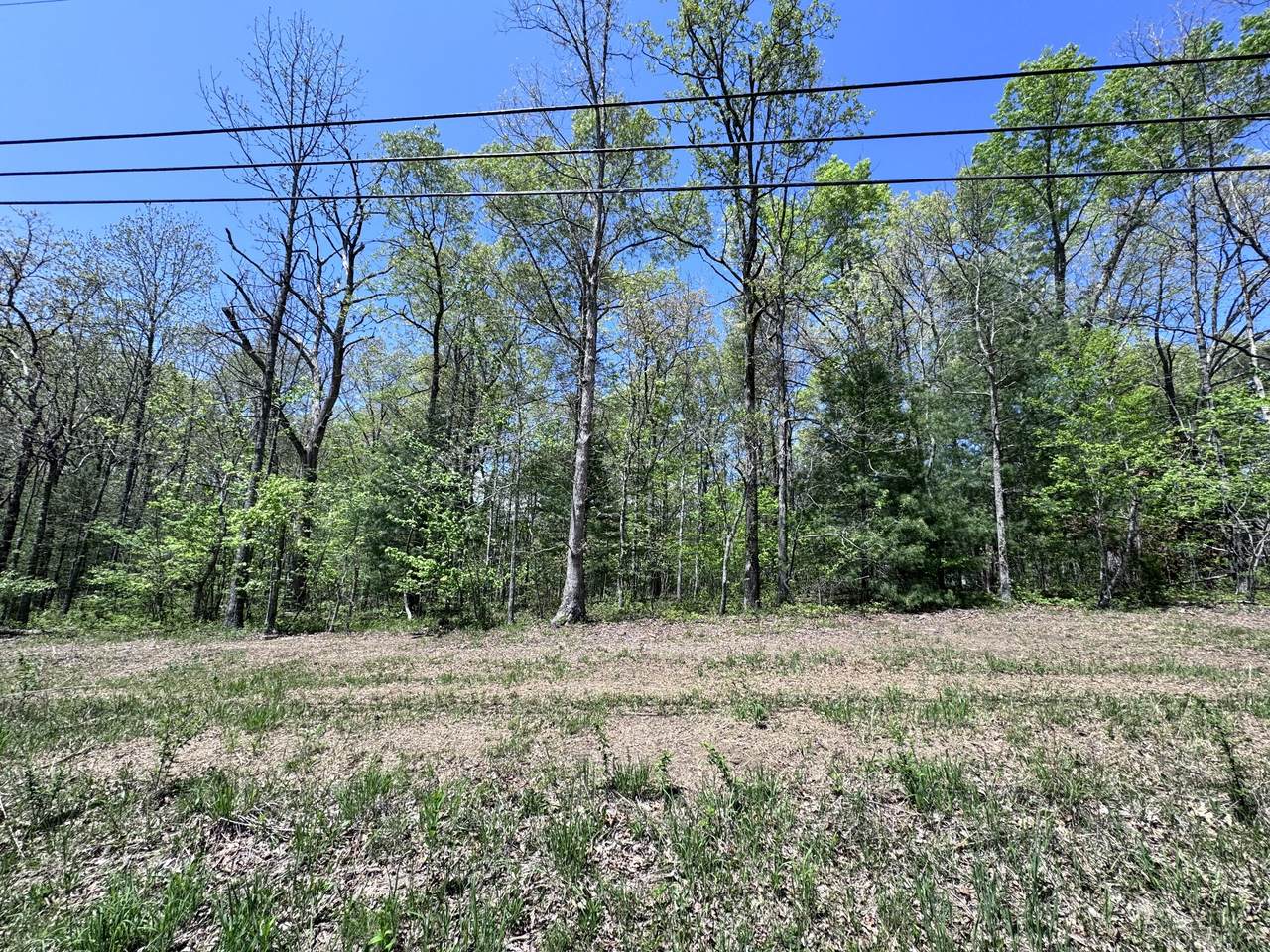 1027 Natchez Trce - Photo 1