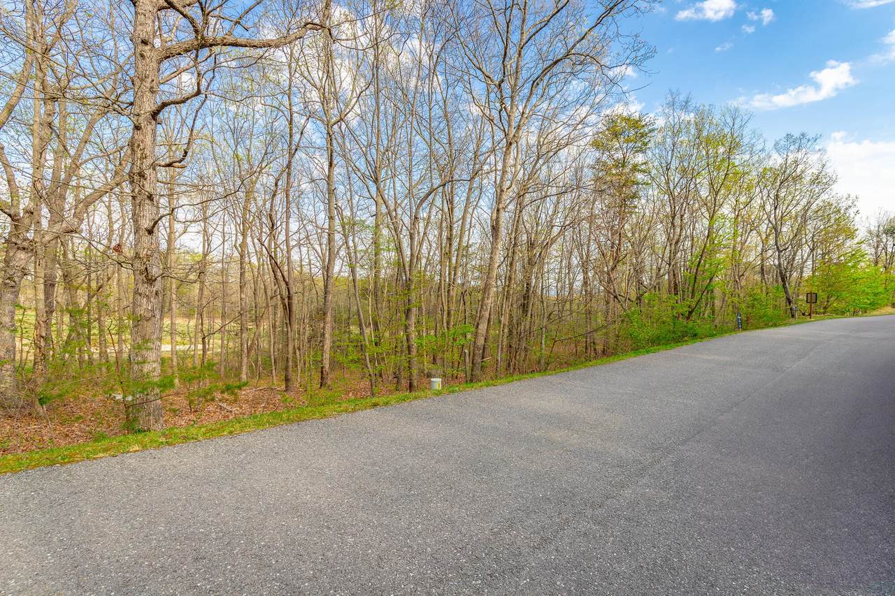 0 Old Rocky Trail - Photo 1