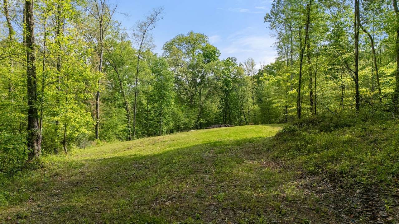 2113 Coolidge Rd - Photo 1