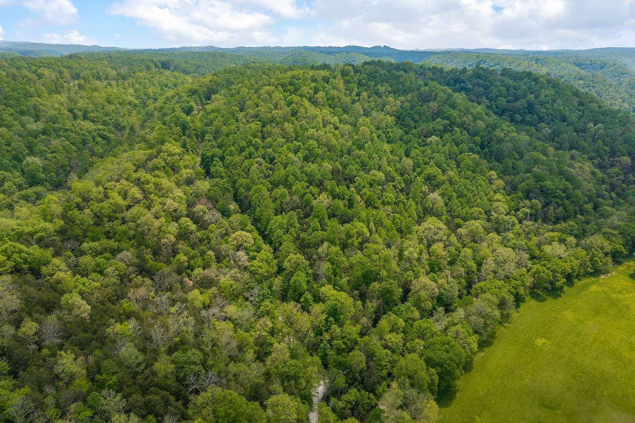 0 Red Bud Ln Tn - Photo 1