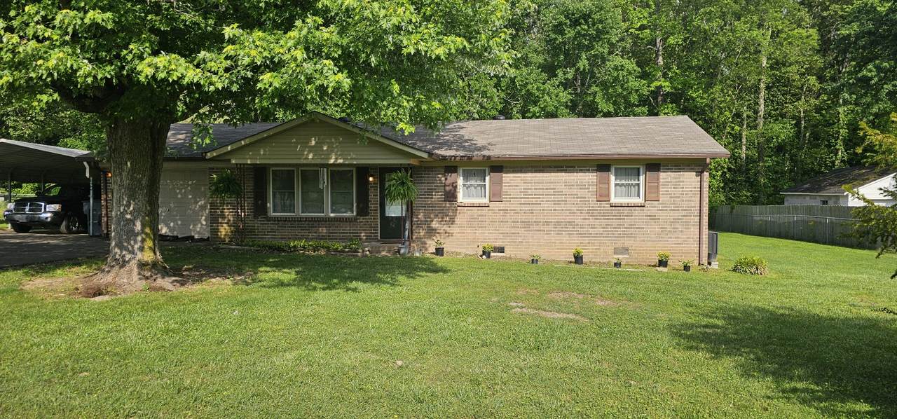 254 Willow Run - Photo 1