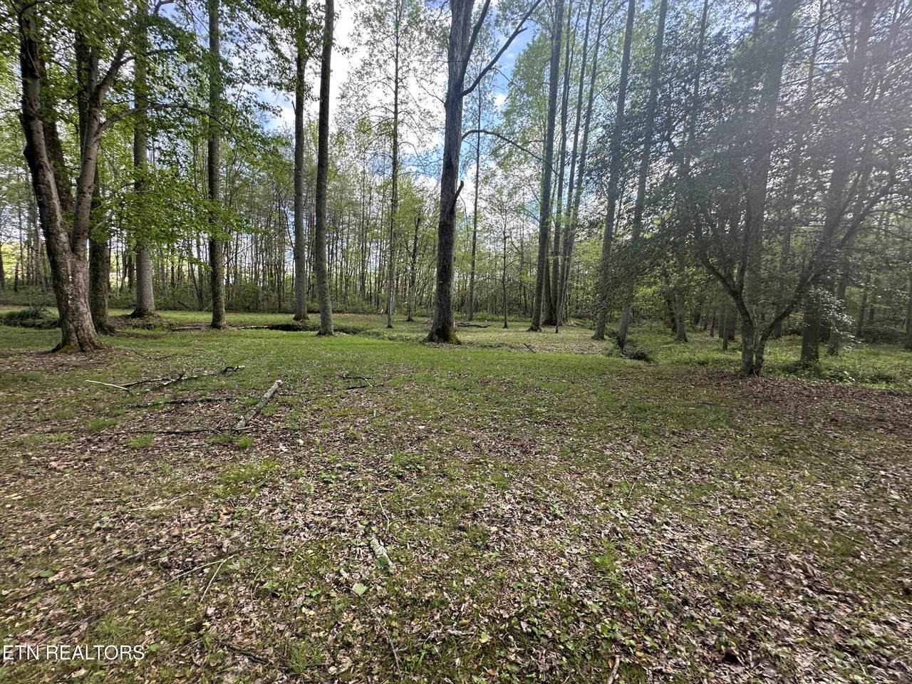 https://bt-photos.global.ssl.fastly.net/nashville/1280_boomver_2_RTC2868161-1.jpg