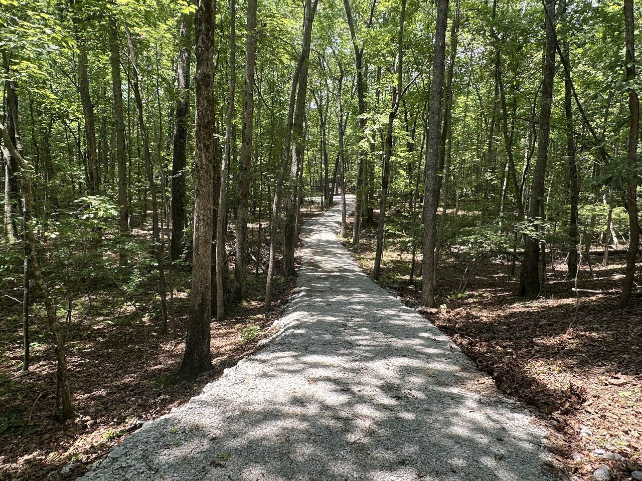 2301 Sarvisberry Pl - Photo 1